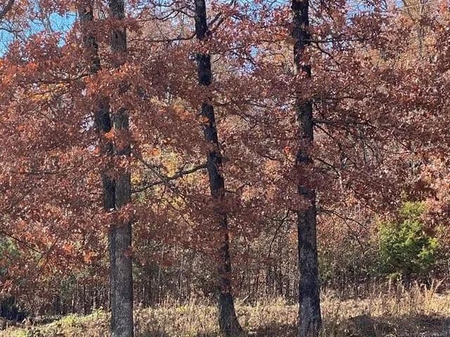 Lots & Land-Other in Tahlequah - Tahlequah, Oklahoma, 74464