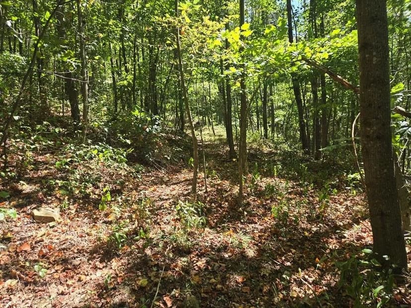 Lots & Land-Other in Otway