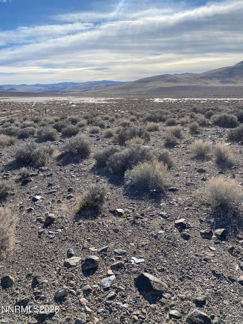 2.5 Acres of Land for Sale in Stagecoach, Nevada - Stagecoach, Nevada, 89429
