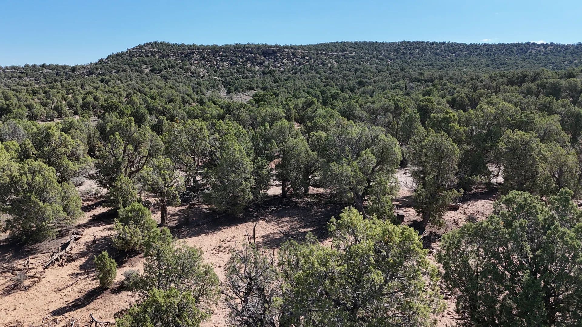 Vacant Land in Navajo Dam - Navajo Dam, New Mexico, 87419