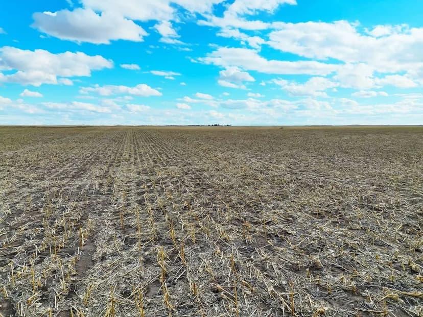 Prime Cropland with a Wind Development Lease