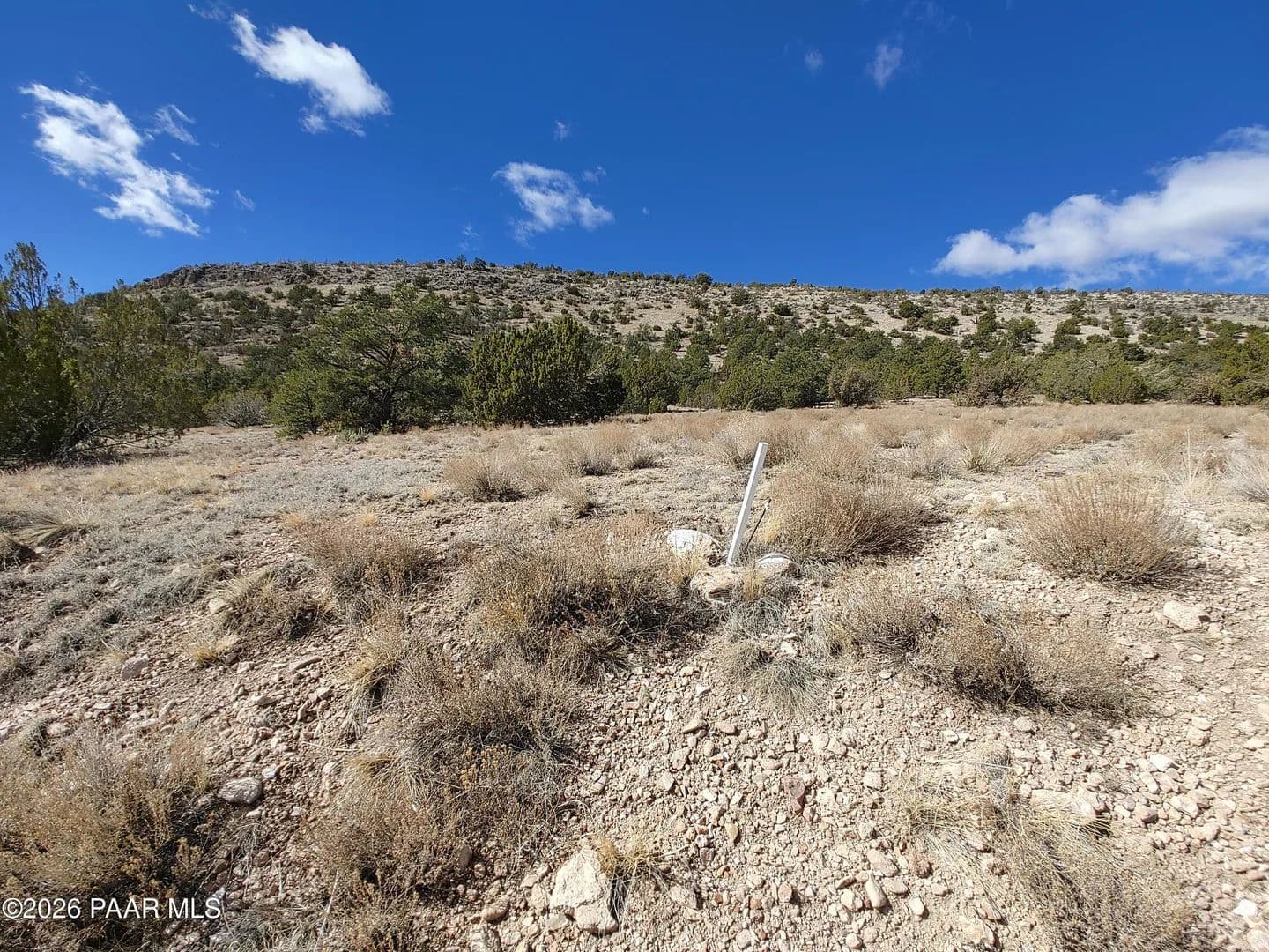 Property from 54870 Paint Brush Lane - KW - Seligman, Arizona, 86337