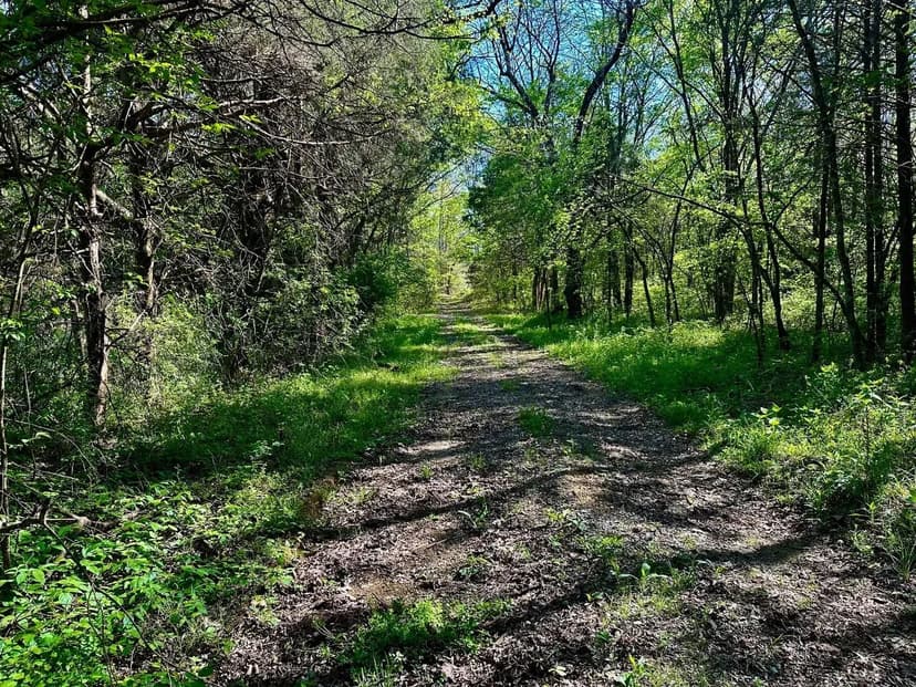 Hunting or Camping Property in Chape Hill, TN