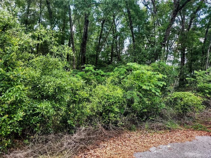 Property from TBD NE 155TH COURT - KW