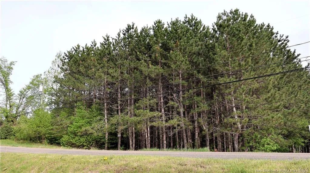 Property from VACANT LOT 74-1A CAPE BRETON RD Road - KW - land for sale