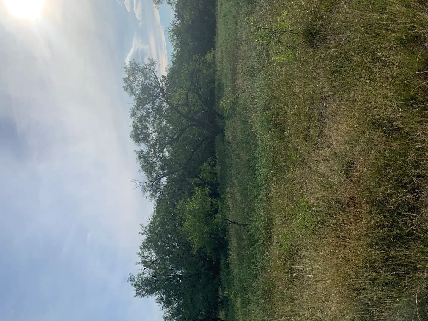 Vacant Land (10+ Acres) in Jacksboro - Jacksboro, Texas, 76458