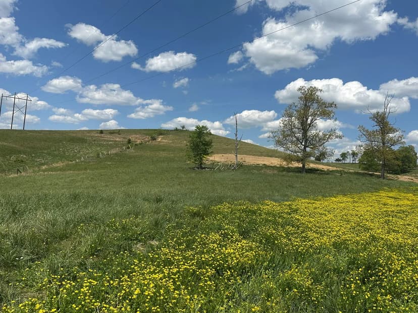 Land -Single Family Acreage in London