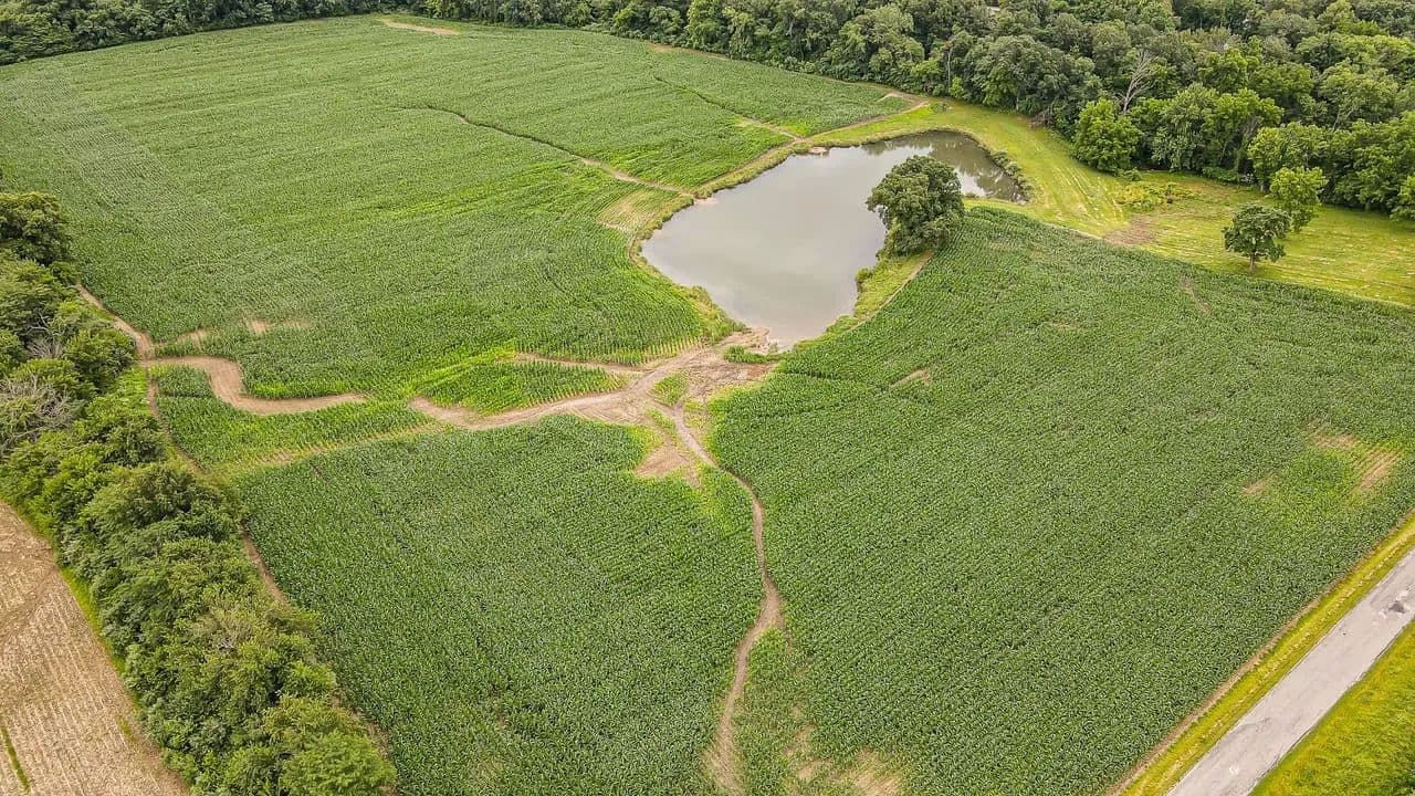 24 Acre Lake and Subdivision - Paris, Illinois, 61944