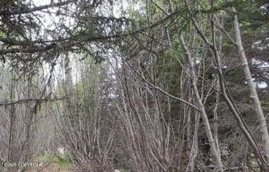 Property from 58088 Faccio Road - KW