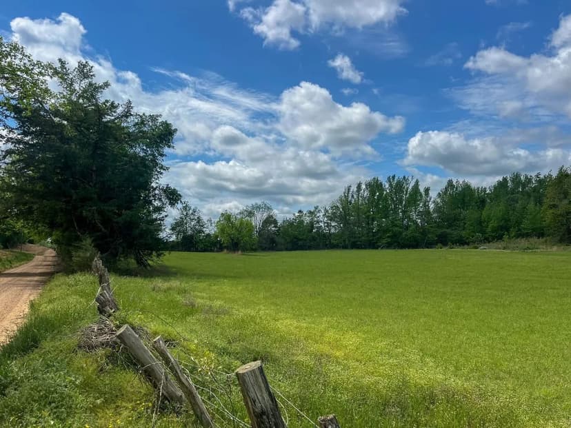 17.5 Acres- Holmes County