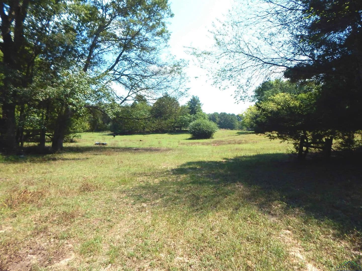Vacant Land in Gilmer - Gilmer, Texas, 75644