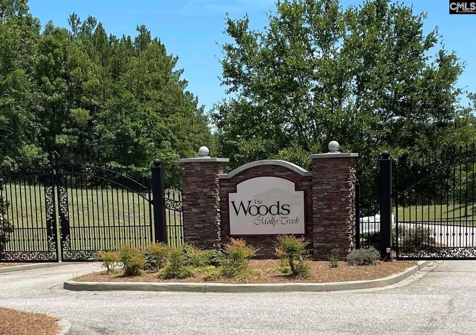 Vacant Land in Ridgeway - Ridgeway, South Carolina, 29130