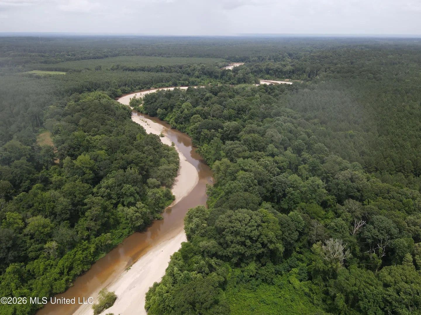 277.8 Acres of Land for Sale in Sontag, MS - Sontag, Mississippi, 39665