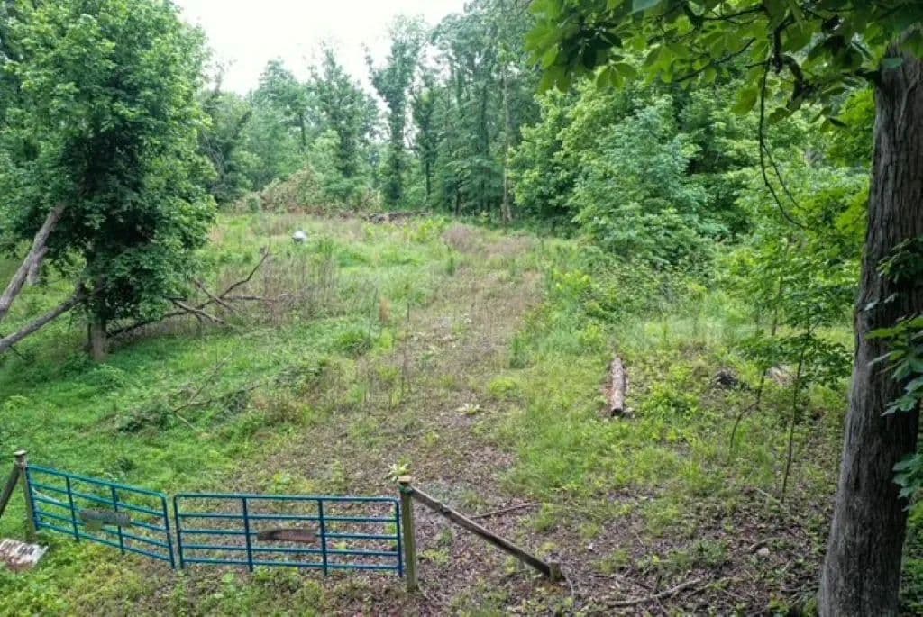 Vacant Land in Cadiz - Cadiz, Kentucky, 42211