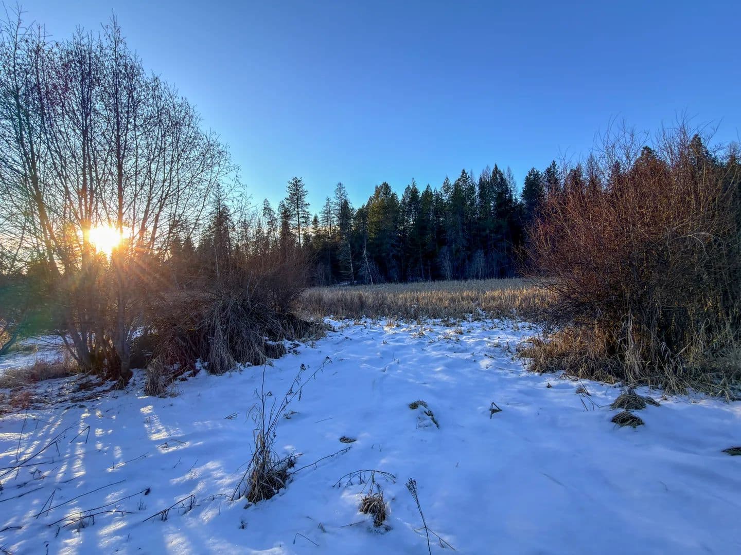 Vacant Land in Newport - Newport, Washington, 99156