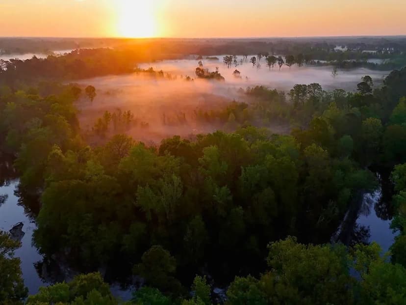 174.69 acres of Amazing Vacant Riverfront Recreational Land For Sale in Duplin County, NC!
