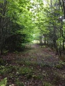 Build Your Getaway on Wooded 2 Acre Lot in Greenville!