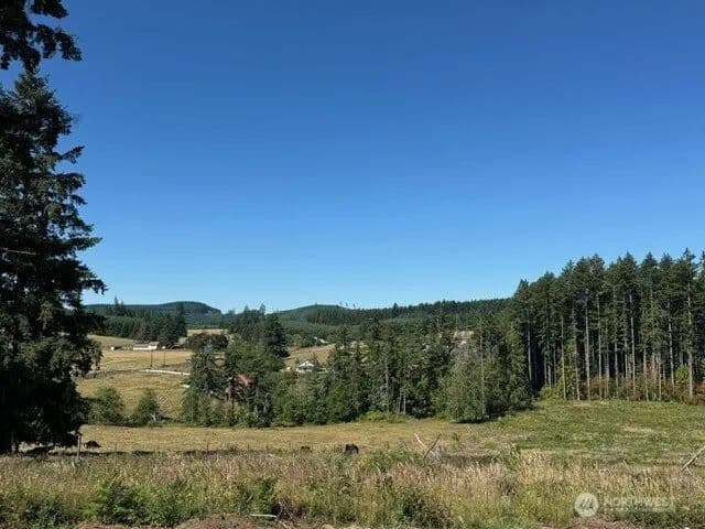 Land -Single Family Acreage in Winlock - Winlock, Washington, 98596