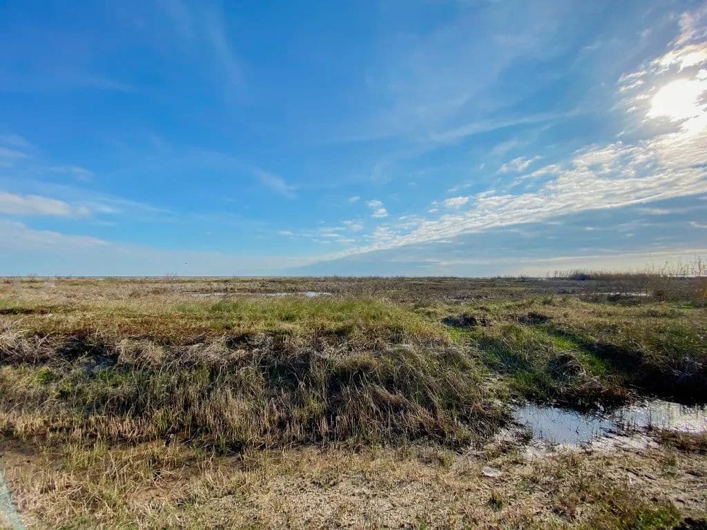 Vacant Land in Holly Beach - Holly Beach, Louisiana, 70631