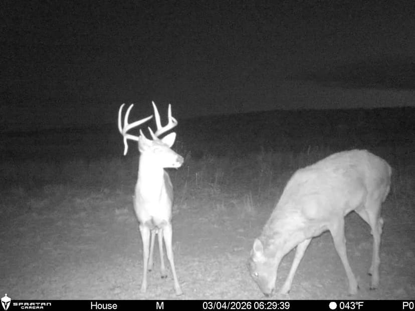 Goff Creek CRP & Hunting Quarter