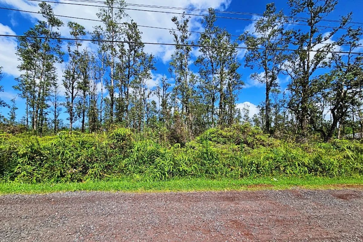 Vacant Land in Pahoa - Pahoa, Hawaii, 96778