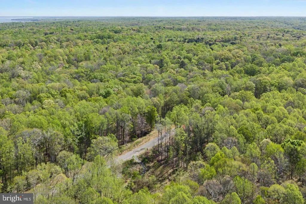 10.27 Acres of Land for Sale in KING GEORGE, VA - King George, Virginia, 22485