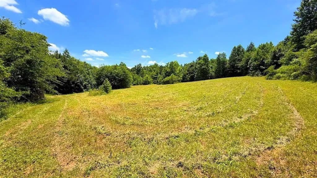 11 Acres of Land for Sale in Bremen, Georgia - Bremen, Georgia, 30110