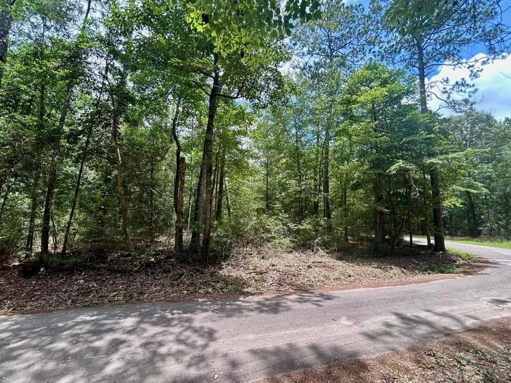 0.76 Acres of Land for Sale in Zavalla, Texas - land for sale