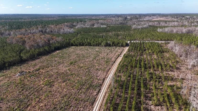 Horse Creek Timberlands