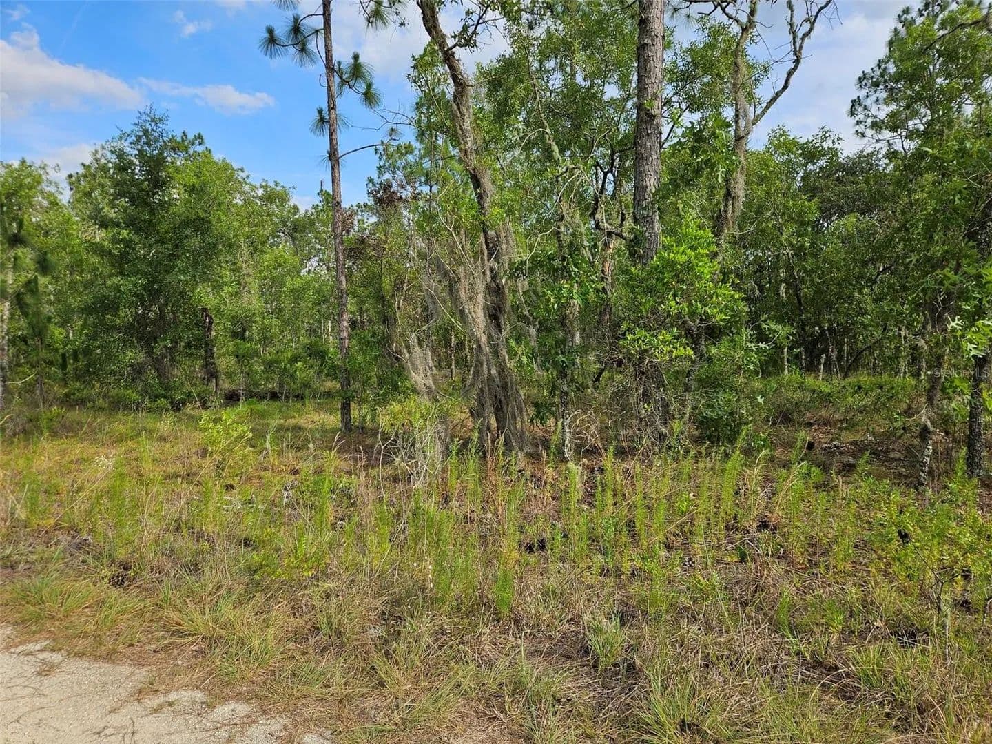 Property from tbd NE 12TH LANE - KW - Williston, Florida, 32696