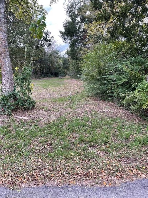 Vacant Land in Alba - Alba, Texas, 75410