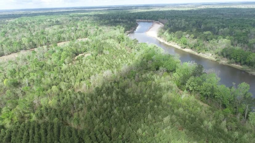 Forest River Tract 6