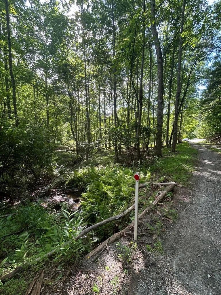 Lots & Land-Other in Hayesville - Hayesville, North Carolina, 28904
