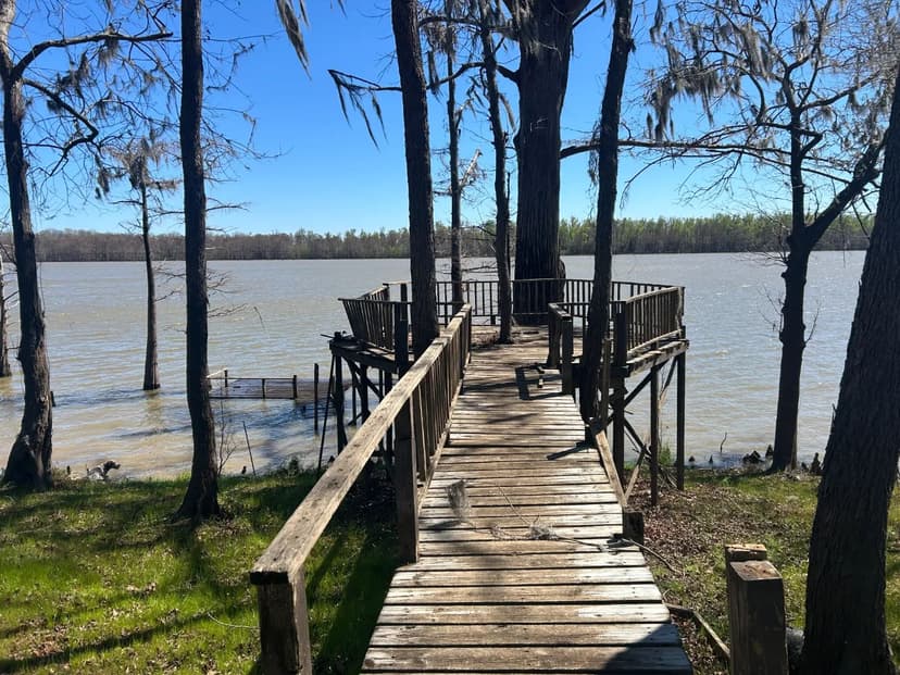 One Equity Share at Jackson Point Timber Company, INC in Adams County, MS 