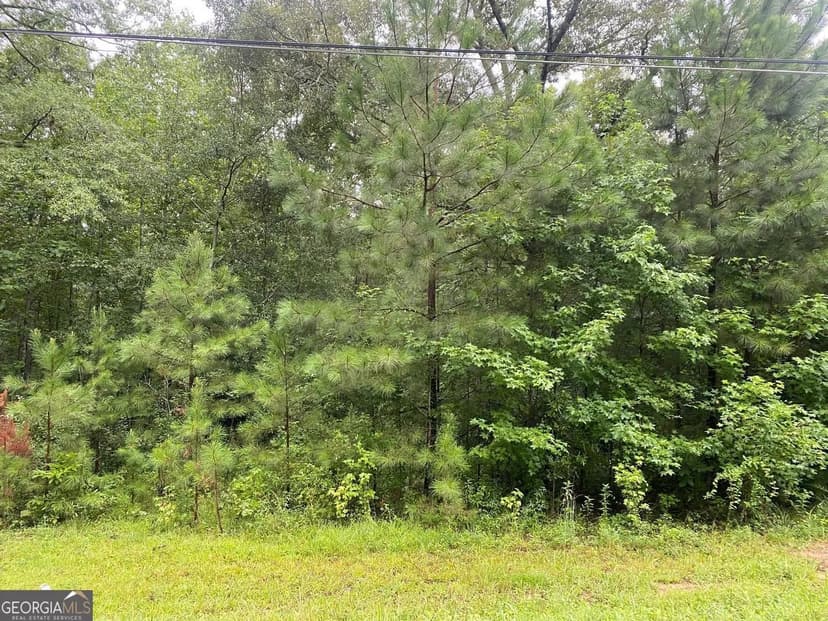 Lots & Land-Other in Grantville
