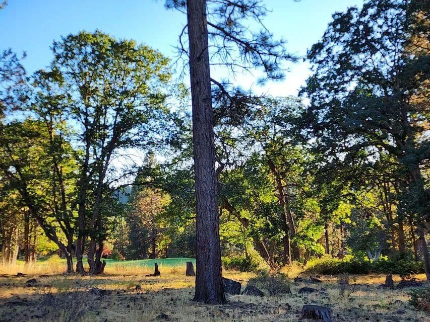 Property from Kestrel #153 - KW - Klamath Falls, Oregon, 97601
