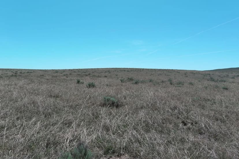 Crook / I-76 Pasture Land Auction