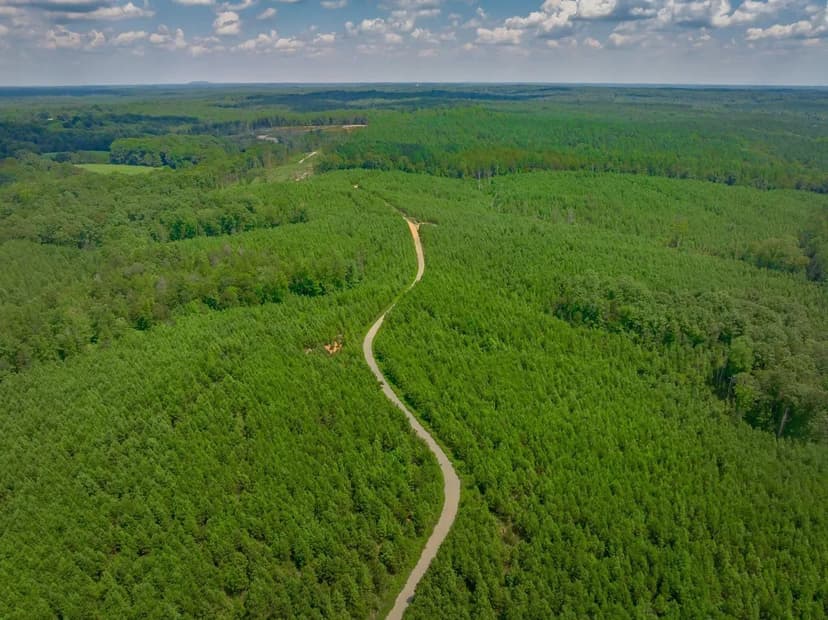 Kings Creek Tract 2