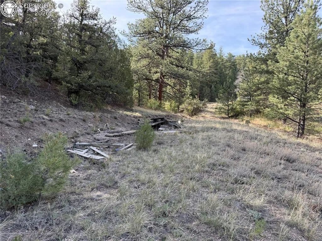 5 Acres of Land for Sale in Cotopaxi, CO - Cotopaxi, Colorado, 81223
