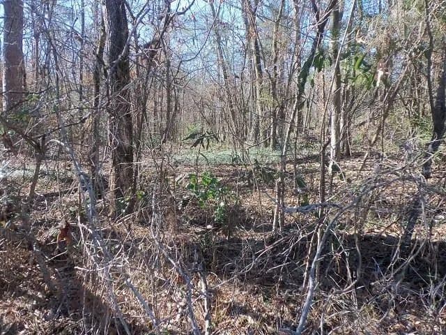 Vacant Land in Kilgore - Kilgore, Texas, 75662