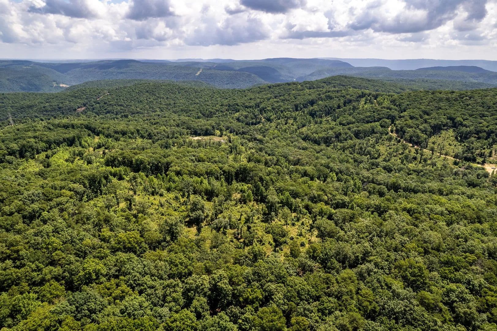 16.85± Acre Hunting & Recreational Tract | Dade County, GA - Trenton, Georgia, 30752
