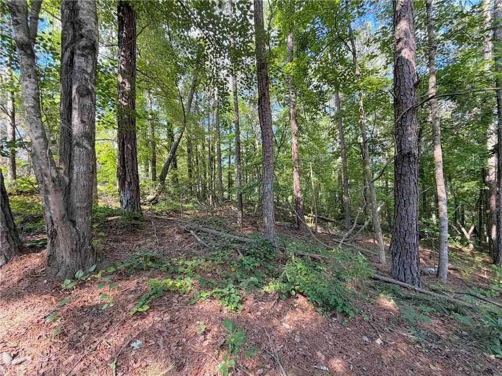 0.34 Acres of Land for Sale in Villa Rica, Georgia - Villa Rica, Georgia, 30180