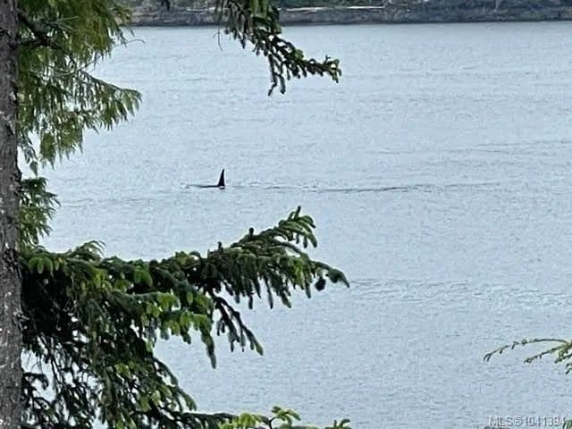 14.8 Acres of Land for Sale in Telegraph Cove, BC - land for sale