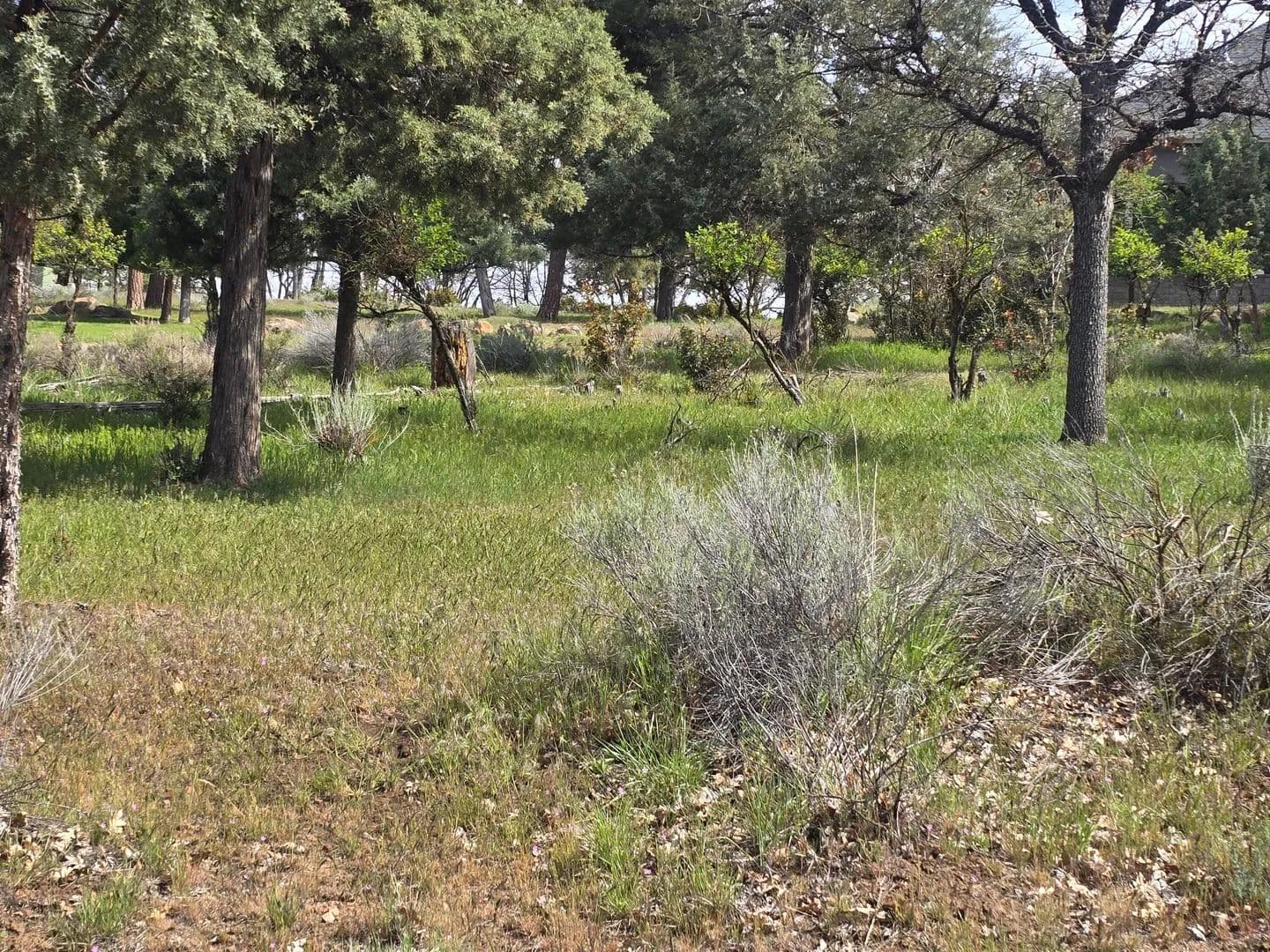 Lots & Land-Other in Klamath Falls - Klamath Falls, Oregon, 97601