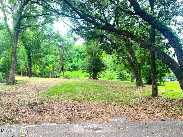 0.41 Acres of Land for Sale in Ocean Springs, MS - Ocean Springs, Mississippi, 39564