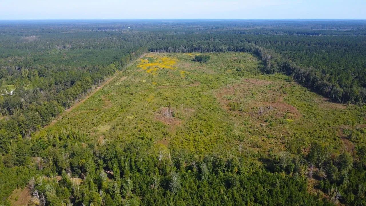 113.5 Acres Marion County - Columbia, Mississippi, 39429