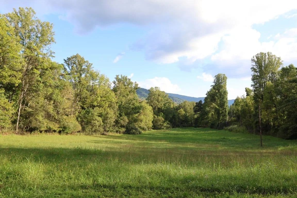 Vacant Land (10+ Acres) in Amherst - Amherst, Virginia, 24521