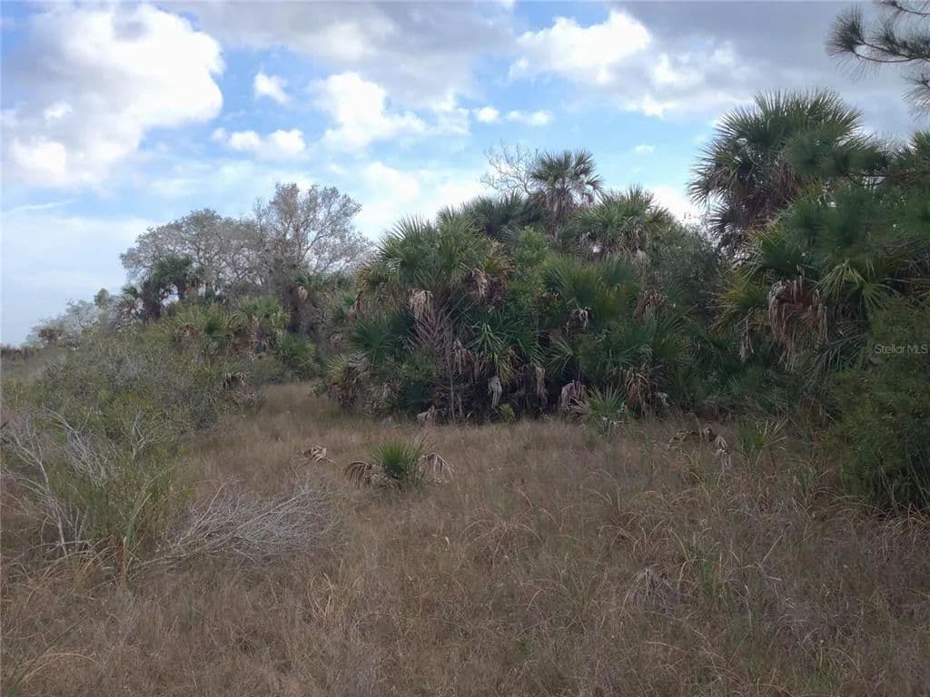Vacant Land in Punta Gorda - Punta Gorda, Florida, 33982