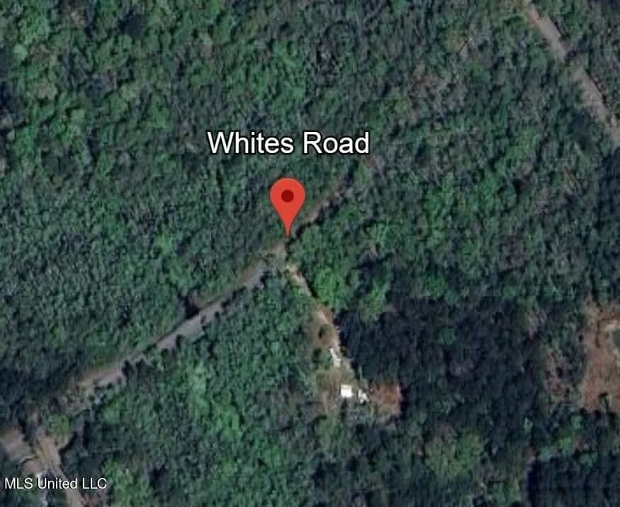 Lots & Land-Other in Pearlington - Pearlington, Mississippi, 39572
