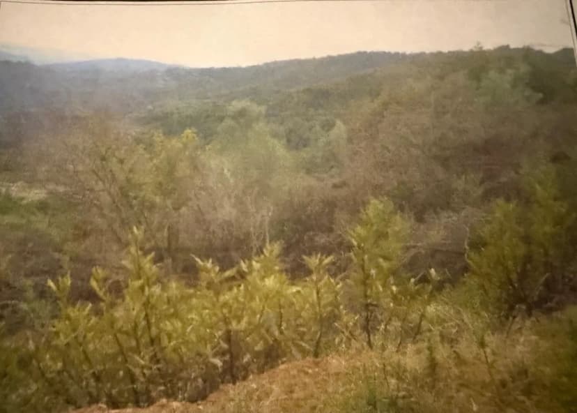 Vacant Land in Morgan Hill